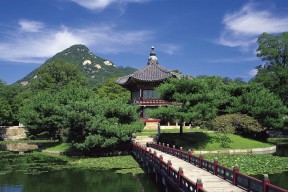 世界田联2026年计划在更多国家铺开“路跑世界日”活动