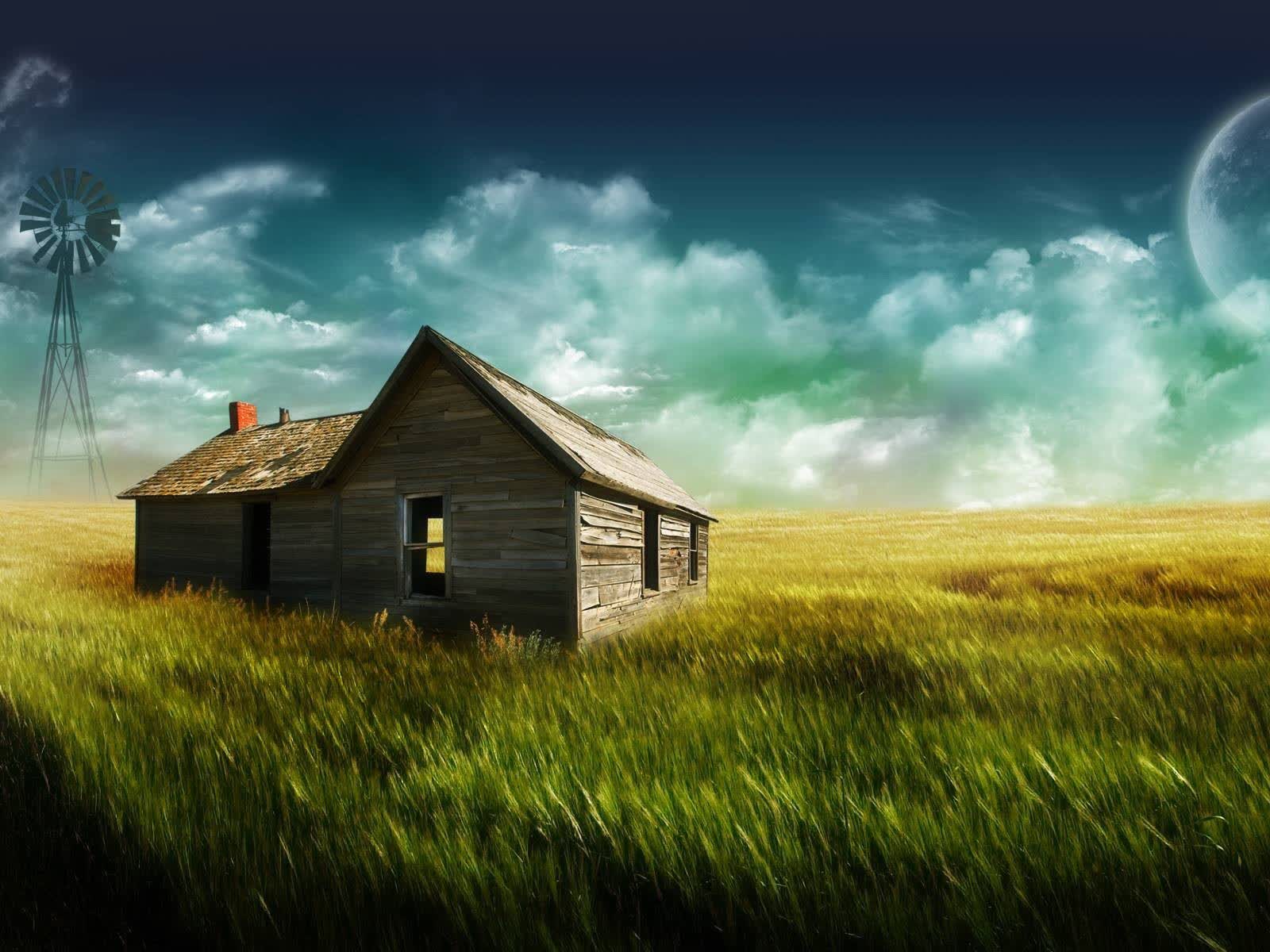 世界拳击职业赛：新人选手崭露头角，最新世界拳击比赛